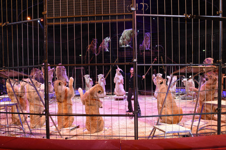 Premiere 1. Winterprogramm 2018 Circus Krone in München