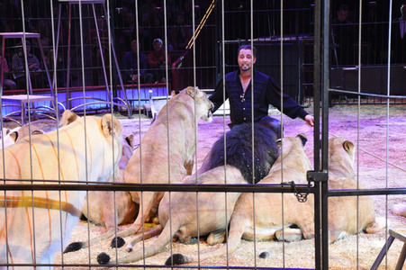 Premiere 1. Winterprogramm 2018 Circus Krone in München