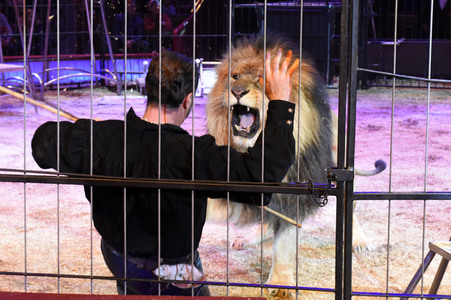 Premiere 1. Winterprogramm 2018 Circus Krone in München