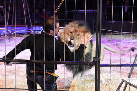 Premiere 1. Winterprogramm 2018 Circus Krone in München