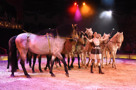 Premiere 1. Winterprogramm 2018 Circus Krone in München