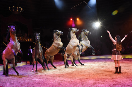 Premiere 1. Winterprogramm 2018 Circus Krone in München