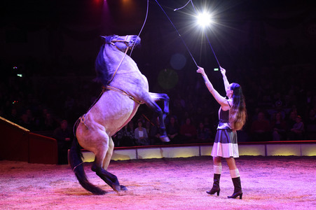 Premiere 1. Winterprogramm 2018 Circus Krone in München
