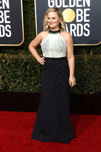 Golden Globe Awards 2019 in Beverly Hills