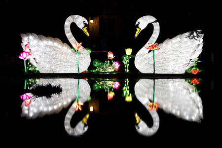 China-Light-Festival in Köln