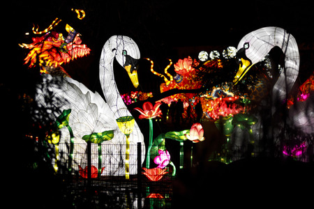 China-Light-Festival in Köln