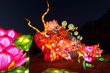 China-Light-Festival in Köln