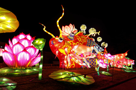 China-Light-Festival in Köln