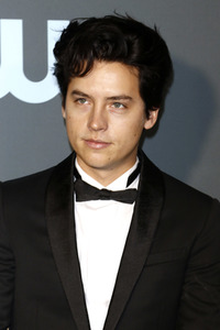 Critics' Choice Awards 2019 in Santa Monica