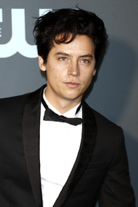 Critics' Choice Awards 2019 in Santa Monica
