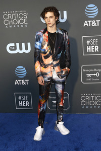 Critics' Choice Awards 2019 in Santa Monica