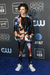 Critics' Choice Awards 2019 in Santa Monica