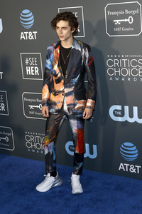 Critics' Choice Awards 2019 in Santa Monica