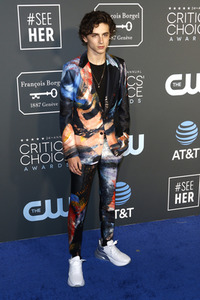 Critics' Choice Awards 2019 in Santa Monica