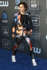 Critics' Choice Awards 2019 in Santa Monica