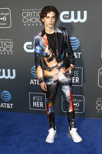 Critics' Choice Awards 2019 in Santa Monica