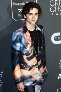 Critics' Choice Awards 2019 in Santa Monica