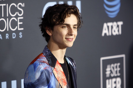 Critics' Choice Awards 2019 in Santa Monica