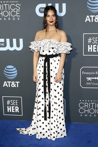 Critics' Choice Awards 2019 in Santa Monica