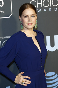 Critics' Choice Awards 2019 in Santa Monica