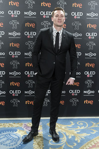 Goya Filmpreis Nominierten-Dinner in Madrid