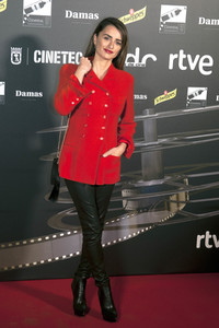 Dias de Cine Awards in Madrid