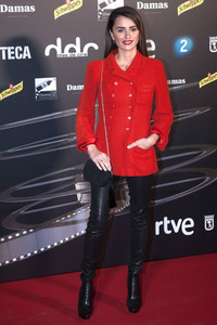 Dias de Cine Awards in Madrid