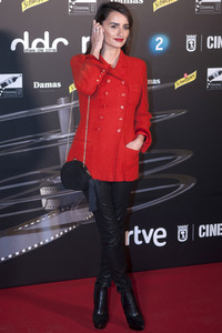 Dias de Cine Awards in Madrid