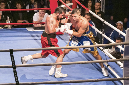 German Heroes Fight Night 2019 in Hannover