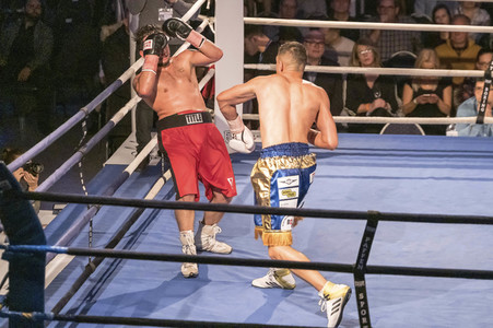 German Heroes Fight Night 2019 in Hannover