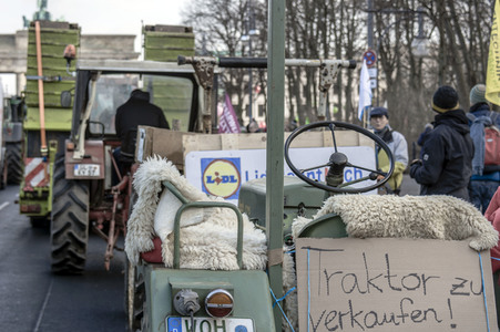Demonstration 'Wir haben es satt!' in Berlin