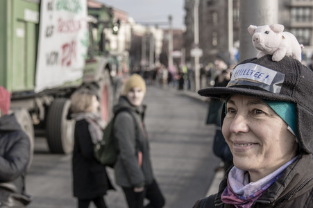 Demonstration 'Wir haben es satt!' in Berlin