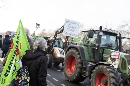 Demonstration 'Wir haben es satt!' in Berlin