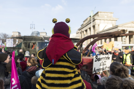 Demonstration 'Wir haben es satt!' in Berlin