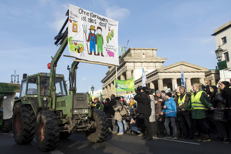 Demonstration 'Wir haben es satt!' in Berlin