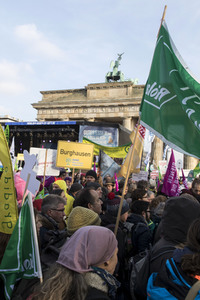 Demonstration 'Wir haben es satt!' in Berlin