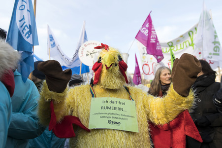 Demonstration 'Wir haben es satt!' in Berlin