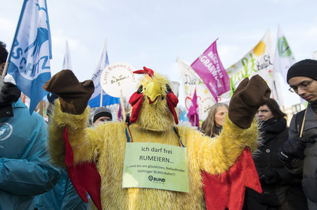 Demonstration 'Wir haben es satt!' in Berlin