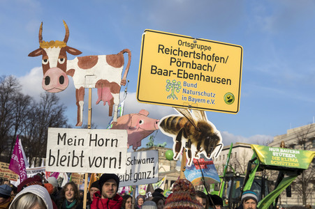Demonstration 'Wir haben es satt!' in Berlin