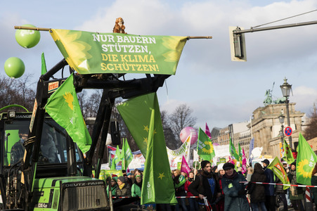 Demonstration 'Wir haben es satt!' in Berlin