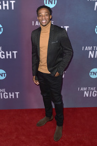 Serienpremiere 'I Am the Night' in Los Angeles