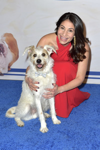 TV-Show 'American Rescue Dog Show 2019' in Pomona