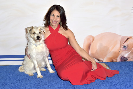 TV-Show 'American Rescue Dog Show 2019' in Pomona