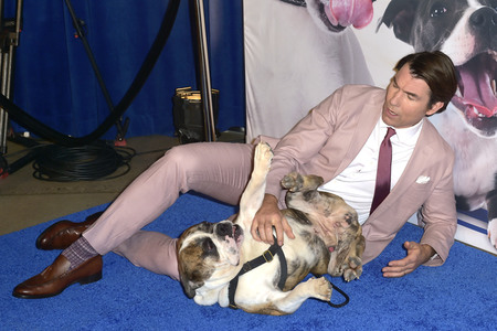 TV-Show 'American Rescue Dog Show 2019' in Pomona