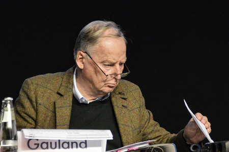 AfD Bundesparteitag in Riesa