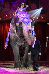 Premiere 2. Winterprogramm 2019 Circus Krone in München