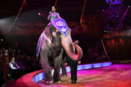 Premiere 2. Winterprogramm 2019 Circus Krone in München