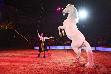 Premiere 2. Winterprogramm 2019 Circus Krone in München