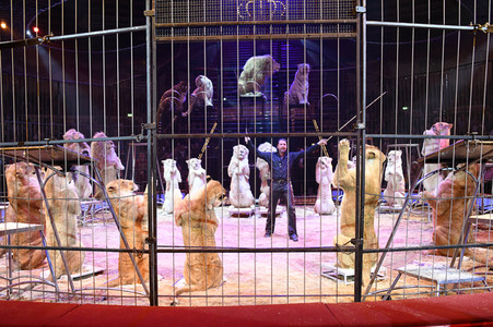 Premiere 2. Winterprogramm 2019 Circus Krone in München