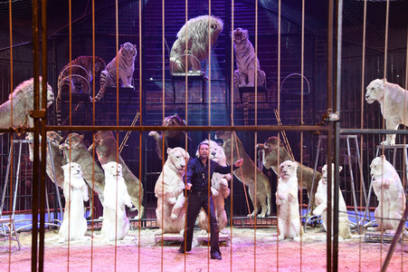 Premiere 2. Winterprogramm 2019 Circus Krone in München